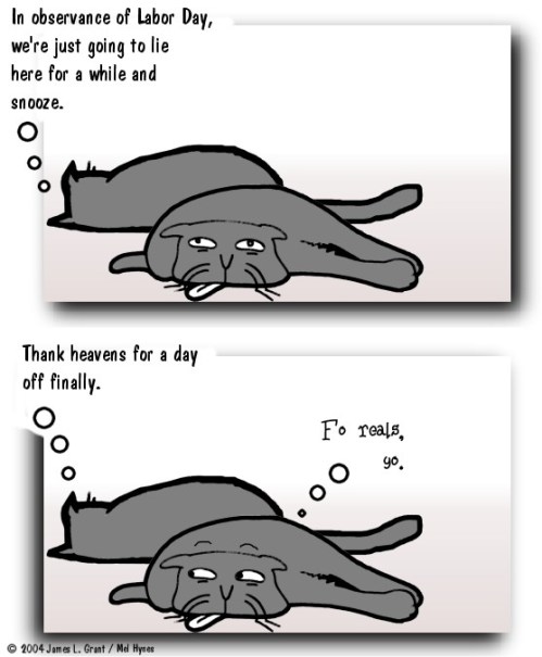 TwoLumps20040906 Two cats, lying on the floor. "In observance of Labor Day, we're just going to lie here and snooze. Thanks heavens for a day off finally." Other cat: "Fo reals, yo."